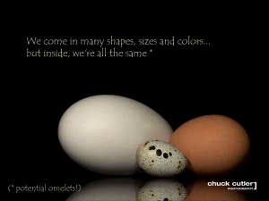 CSR Jämställd idrott idrottsvetare Sportidealisten Hållbar idrott