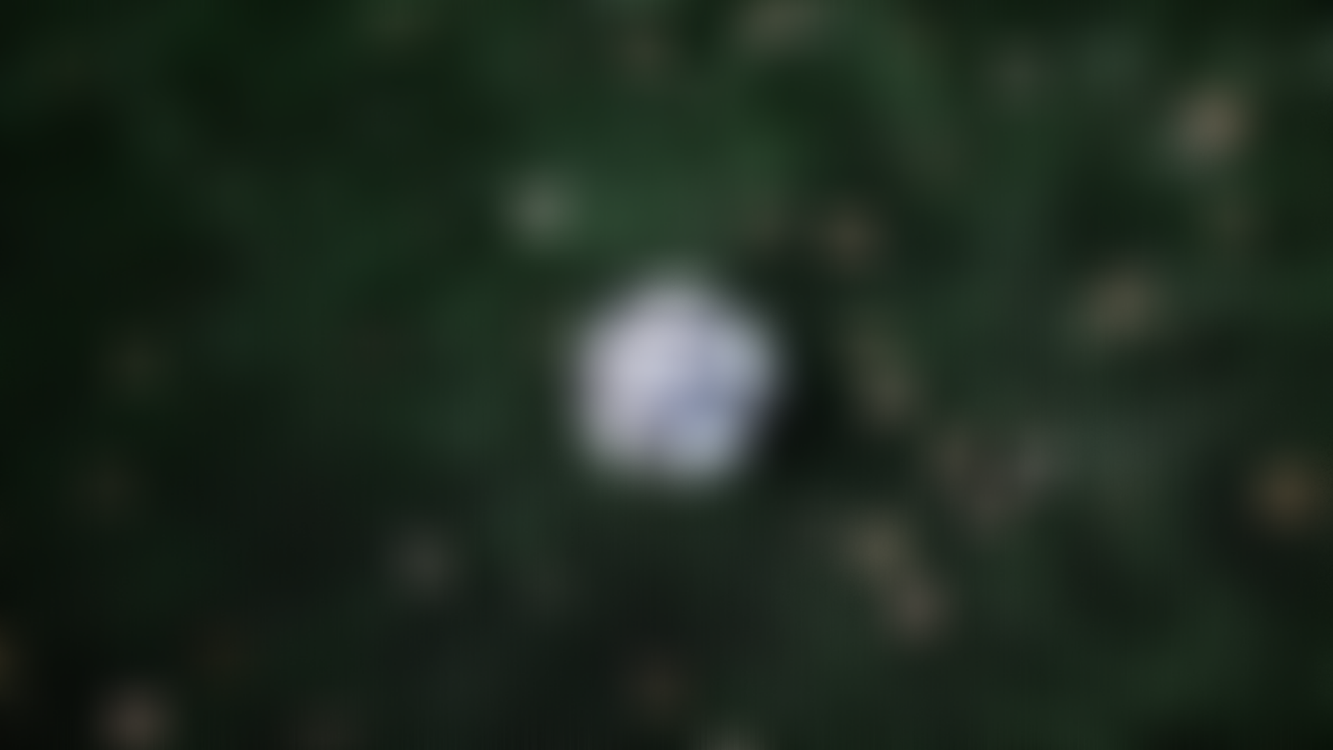 Sportidealisten Sport Management Idrottsvetare SportJobb IdrottsJobb Framtidens planer Idrottens Samhällsnytta